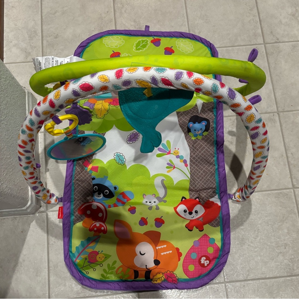 Fisher Price Baby Infant Play Mat